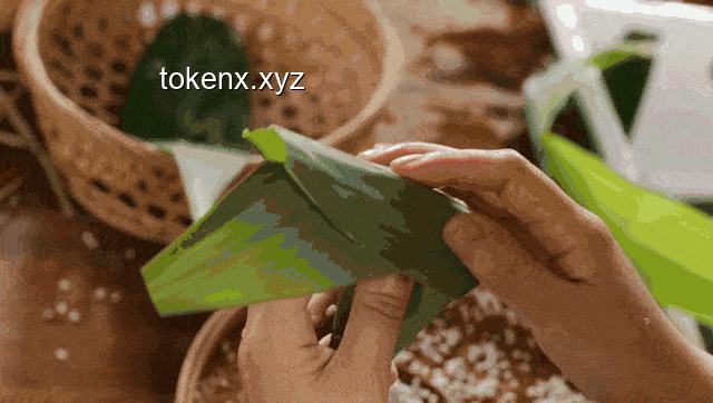 南北粽子华山论剑：甜咸之争的千年传承
